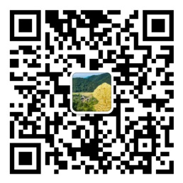 大玩家app下载